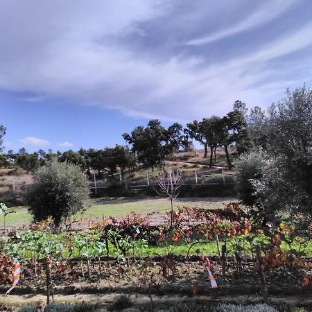 Monte Familia Ferreira Hotel Vale de Acor Bagian luar foto