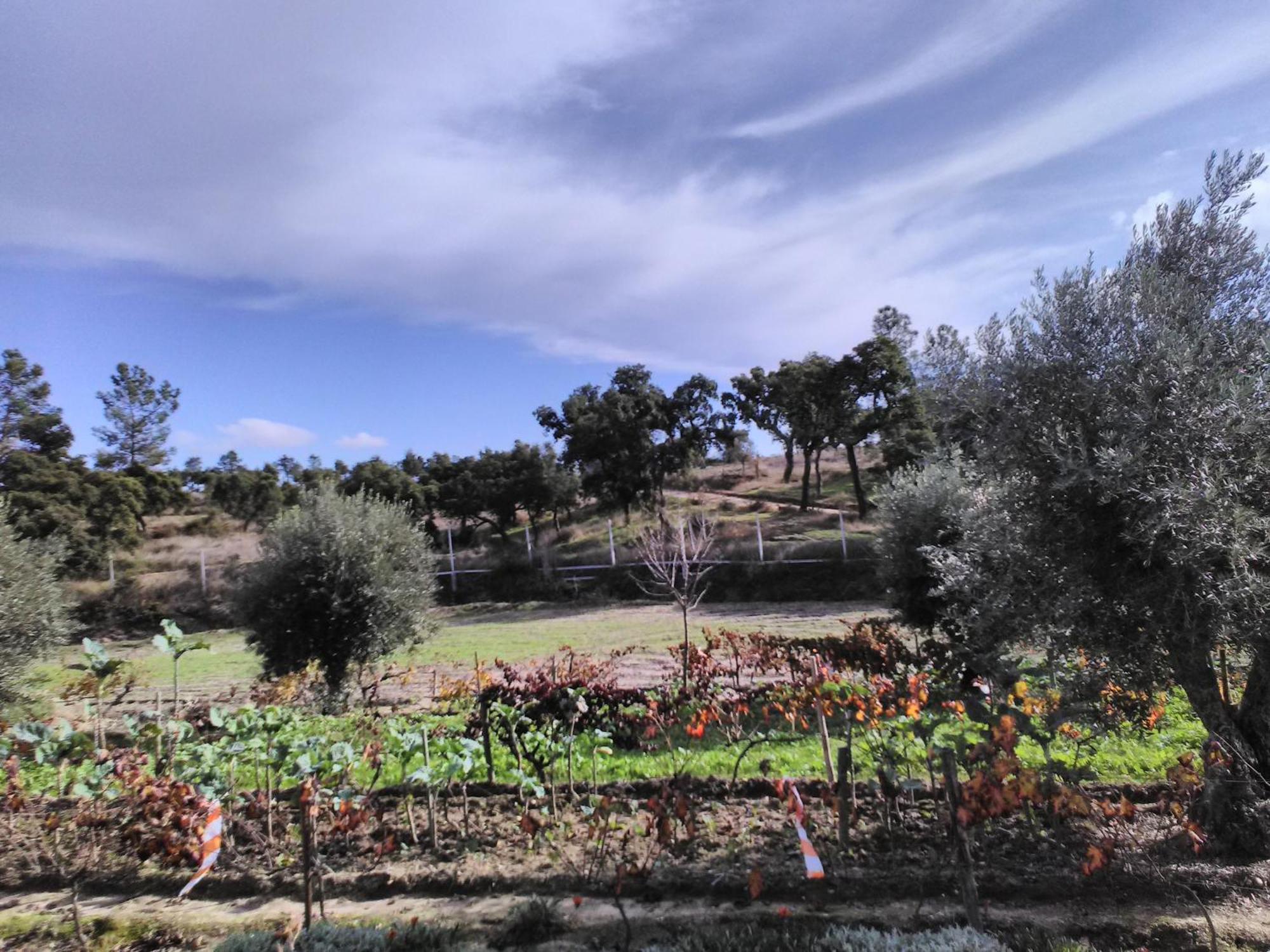 Monte Familia Ferreira Hotel Vale de Acor Bagian luar foto